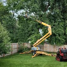 Lawn Pest Prevention in North Caldwell, NJ