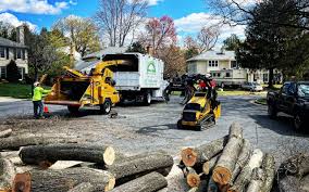 Best Tree Risk Assessment  in North Caldwell, NJ