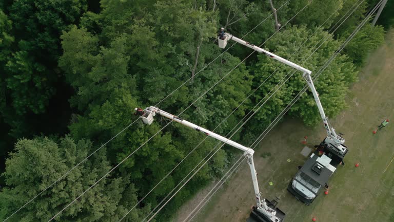 Best Tree Trimming and Pruning  in North Caldwell, NJ